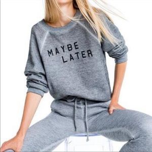 Wildfox sweatshirt